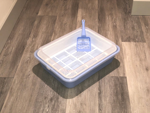 Cat / Kitten Sieve Litter Tray System with Scoop