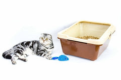 Maxi Sieve Litter Tray System (2 Base Trays,Sieve & Guard)Beige/Brown