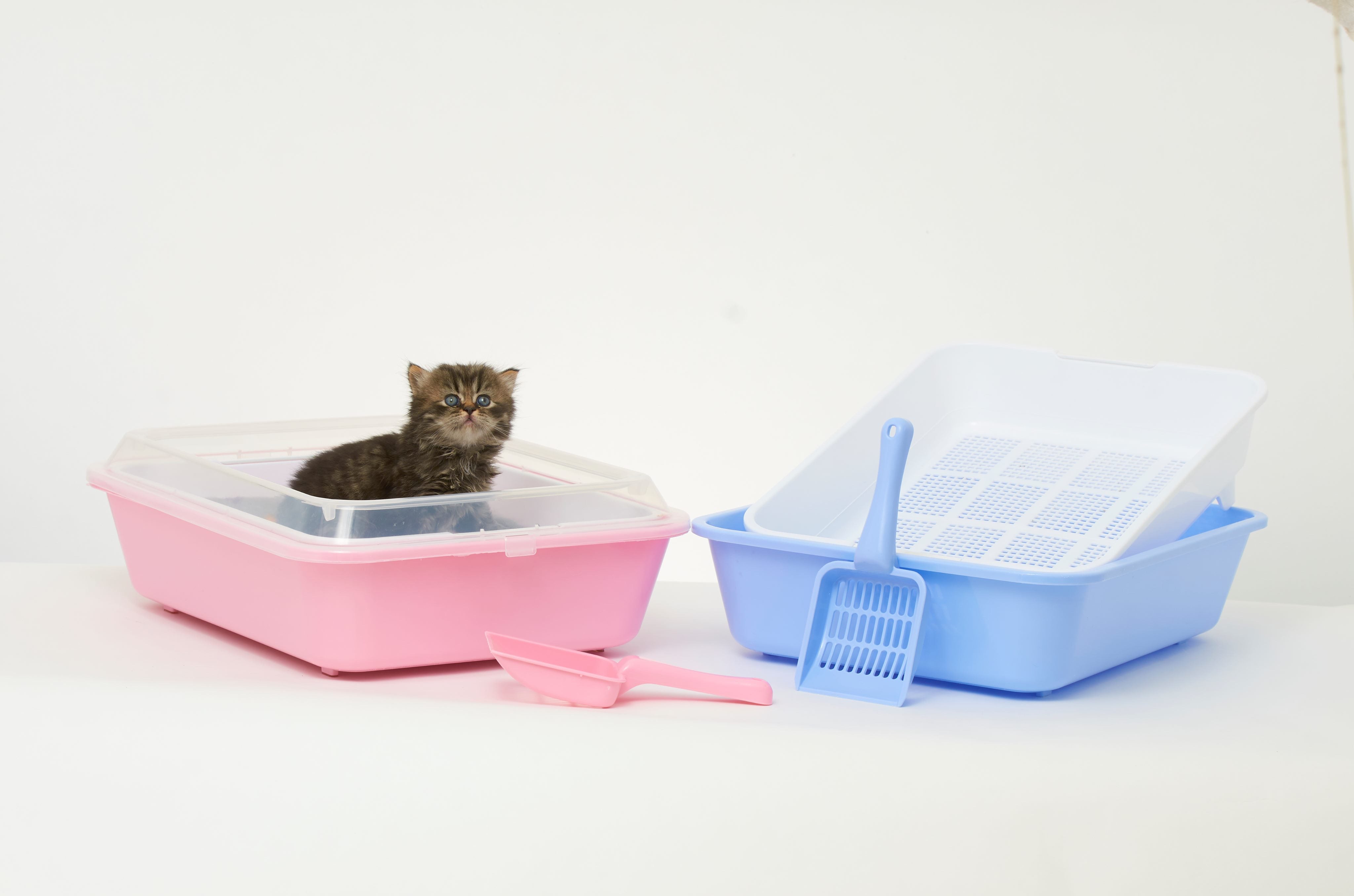 Cat / Kitten Sieve Litter Tray System with Scoop Brit Pet